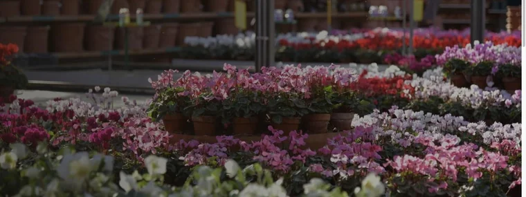 Retail · Garden centre
